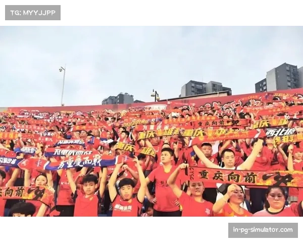 重庆铜梁龙冲超成功球迷欢庆 足球成为城市文化新名片